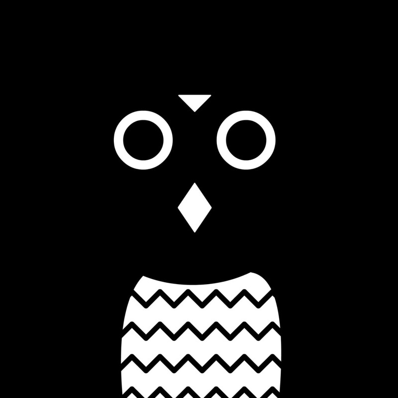 フクロウ目